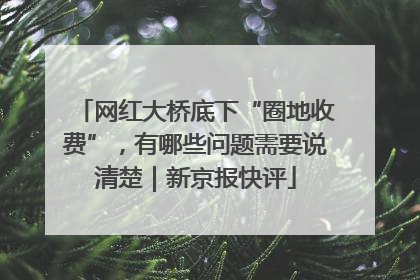 网红大桥底下“圈地收费”，有哪些问题需要说清楚｜新京报快评