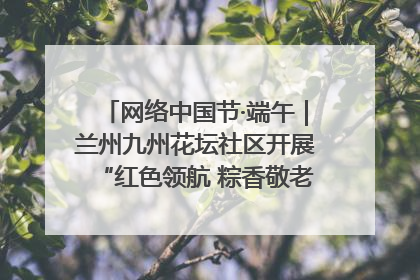 网络中国节·端午｜兰州九州花坛社区开展“红色领航 粽香敬老”端午主题活动