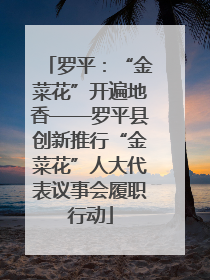 罗平：“金菜花”开遍地香——罗平县创新推行“金菜花”人大代表议事会履职行动