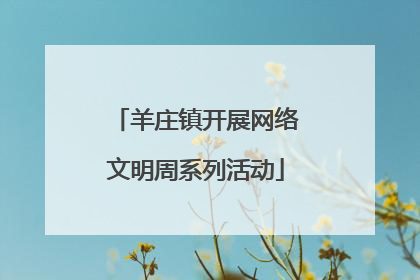 羊庄镇开展网络文明周系列活动