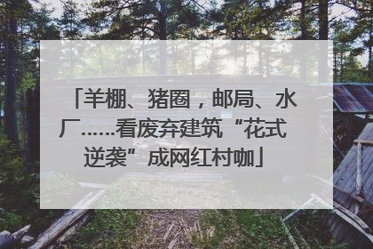 羊棚、猪圈，邮局、水厂……看废弃建筑“花式逆袭”成网红村咖