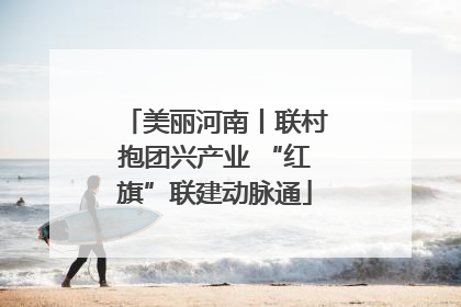 美丽河南丨联村抱团兴产业 “红旗”联建动脉通