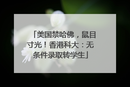 美国禁哈佛，鼠目寸光！香港科大：无条件录取转学生