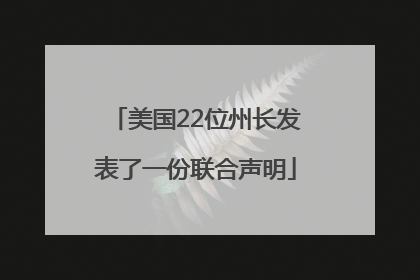 美国22位州长发表了一份联合声明