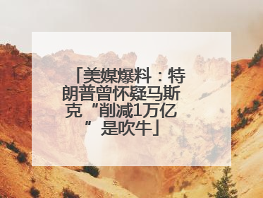 美媒爆料：特朗普曾怀疑马斯克“削减1万亿”是吹牛