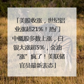 美股收涨，世纪铝业涨超21%！热门中概股多数上涨，白银大涨超5%，金油“涨”疯了！美联储官员最新表态