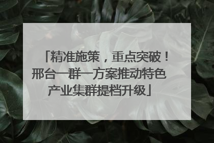 精准施策，重点突破！邢台一群一方案推动特色产业集群提档升级