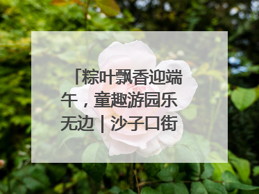 粽叶飘香迎端午，童趣游园乐无边｜沙子口街道儿童端午游园活动圆满落幕