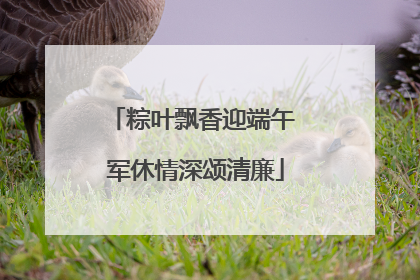 粽叶飘香迎端午 军休情深颂清廉