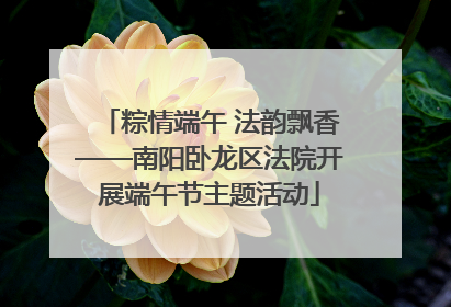 粽情端午 法韵飘香——南阳卧龙区法院开展端午节主题活动