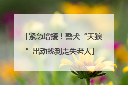 紧急增援！警犬“天狼”出动找到走失老人
