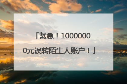 紧急！10000000元误转陌生人账户！