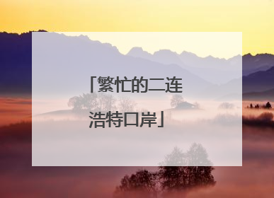 繁忙的二连浩特口岸