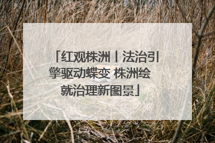 红观株洲丨法治引擎驱动蝶变 株洲绘就治理新图景