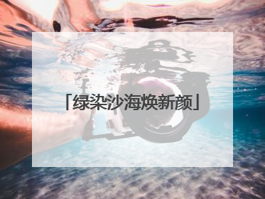 绿染沙海焕新颜