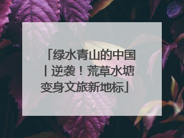 绿水青山的中国丨逆袭！荒草水塘变身文旅新地标