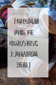 绿色风暴再临 FE电动方程式上海站圆满落幕