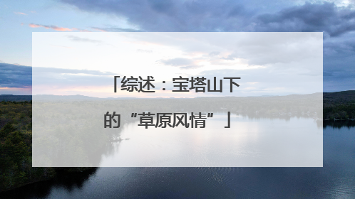 综述：宝塔山下的“草原风情”