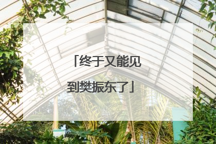 终于又能见到樊振东了