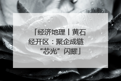 经济地理丨黄石经开区：聚企成链“芯光”闪耀