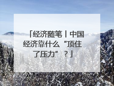 经济随笔丨中国经济靠什么“顶住了压力”？