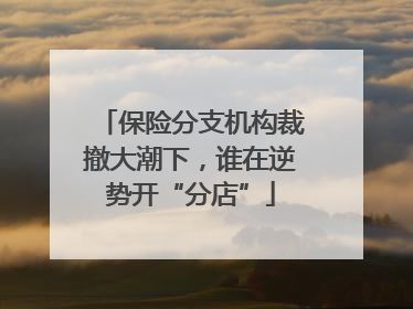 保险分支机构裁撤大潮下，谁在逆势开“分店”