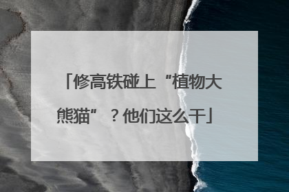 修高铁碰上“植物大熊猫”？他们这么干