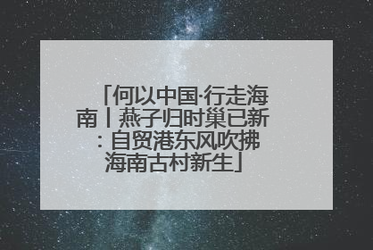 何以中国·行走海南丨燕子归时巢已新：自贸港东风吹拂 海南古村新生