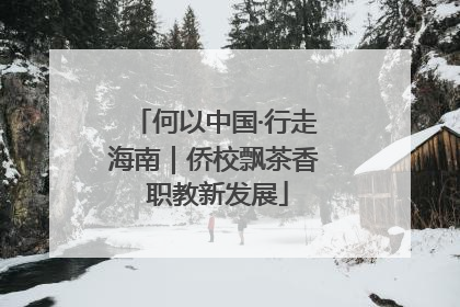 何以中国·行走海南｜侨校飘茶香 职教新发展