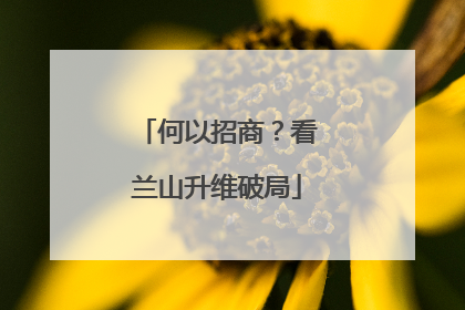 何以招商？看兰山升维破局