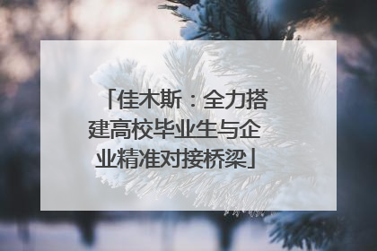 佳木斯：全力搭建高校毕业生与企业精准对接桥梁