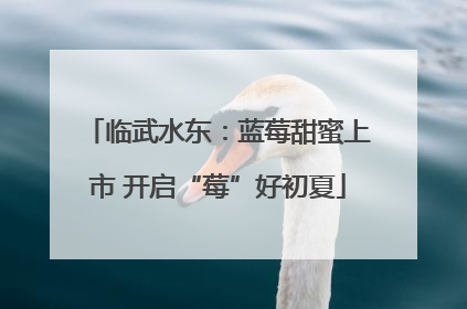 临武水东：蓝莓甜蜜上市 开启“莓”好初夏