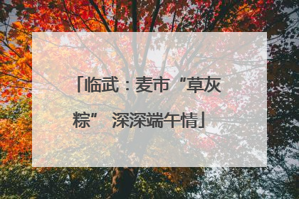 临武：麦市“草灰粽” 深深端午情