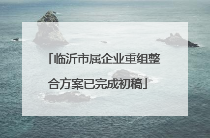 临沂市属企业重组整合方案已完成初稿