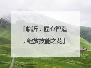 临沂：匠心智造，绽放技能之花