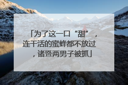 为了这一口“甜”，连干活的蜜蜂都不放过，诸暨两男子被抓