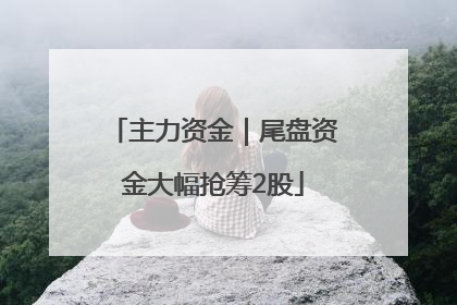 主力资金｜尾盘资金大幅抢筹2股