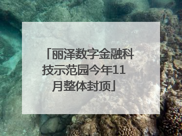 丽泽数字金融科技示范园今年11月整体封顶