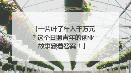 一片叶子年入千万元？这个日照青年的创业故事藏着答案！