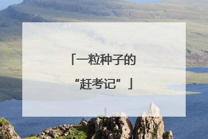 一粒种子的“赶考记”