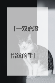 一双磨没指纹的手