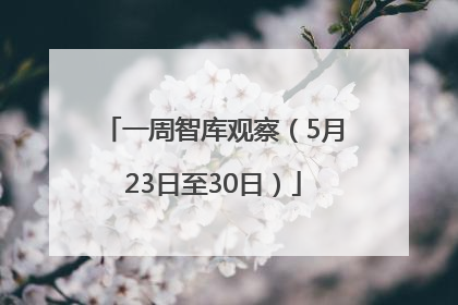 一周智库观察（5月23日至30日）