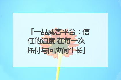一品威客平台：信任的温度 在每一次托付与回应间生长