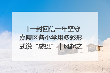一封回信一年坚守 嘉陵区各小学用多彩形式说“感恩”｜风起之江 扶摇直上