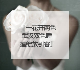 一花开两色 武汉双色睡莲绽放引客