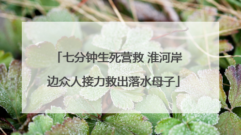 七分钟生死营救 淮河岸边众人接力救出落水母子
