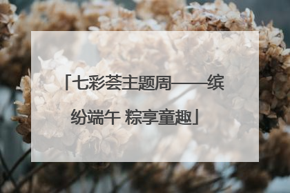 七彩荟主题周——缤纷端午 粽享童趣