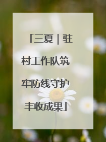 三夏｜驻村工作队筑牢防线守护丰收成果