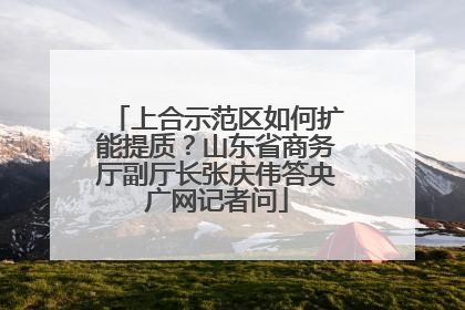 上合示范区如何扩能提质？山东省商务厅副厅长张庆伟答央广网记者问