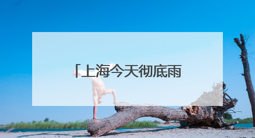 上海今天彻底雨止要到傍晚，节后气温冲高周三周四可达32℃